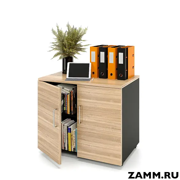 Шкаф ZAMM распашной 2 полки, 2 двери. На регулируемых опорах 900. В=600 (Ш:900, Г:600, В:747)