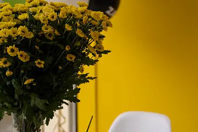 Шоу-рум ZAMM для юр. и физ. лиц (Покровка) – фото 6